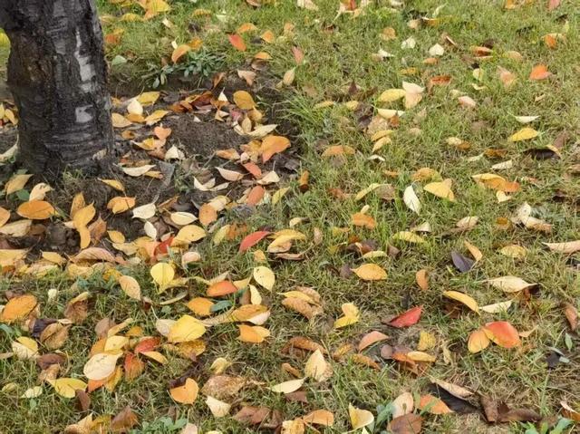 烟雨晋阳湖