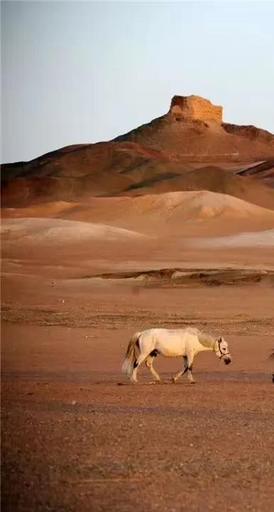 文旅探秘 | 谁懂啊！敦煌的沙海藏珍，才是丝路顶流