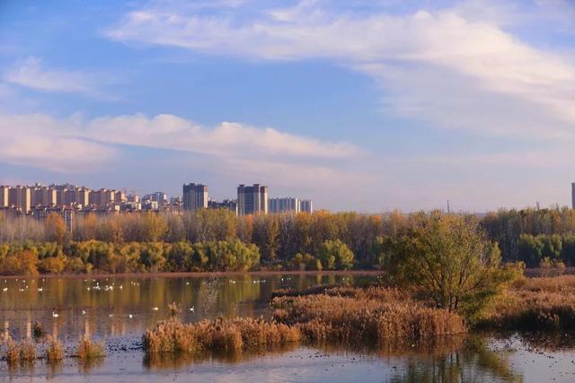 一湖初冬色，半城清欢美——三门峡苍龙湖的冬日盛景