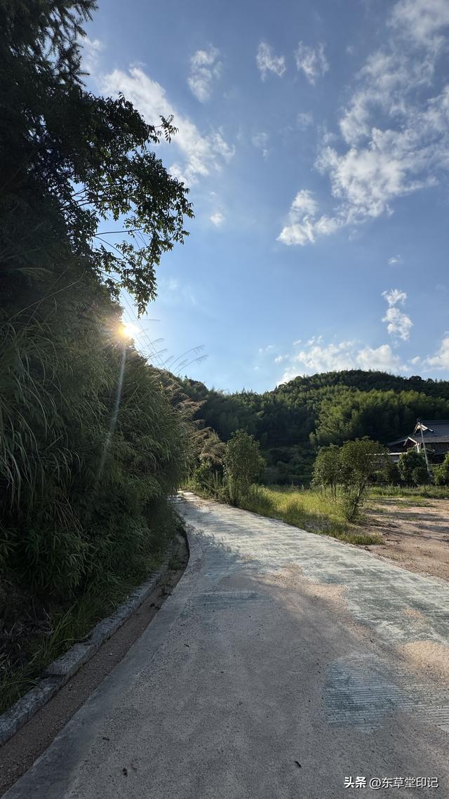 探秘福州罗源凤山寺：千年古刹的传奇与新生
