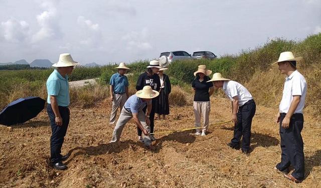 粮价二十年没涨，农民种地还能挣钱吗？深挖背后发现涨价才是好事