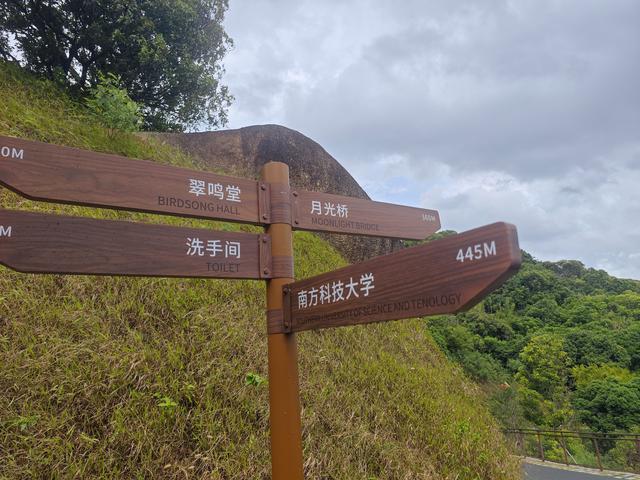 西丽湖国际科教城绿道高清随拍