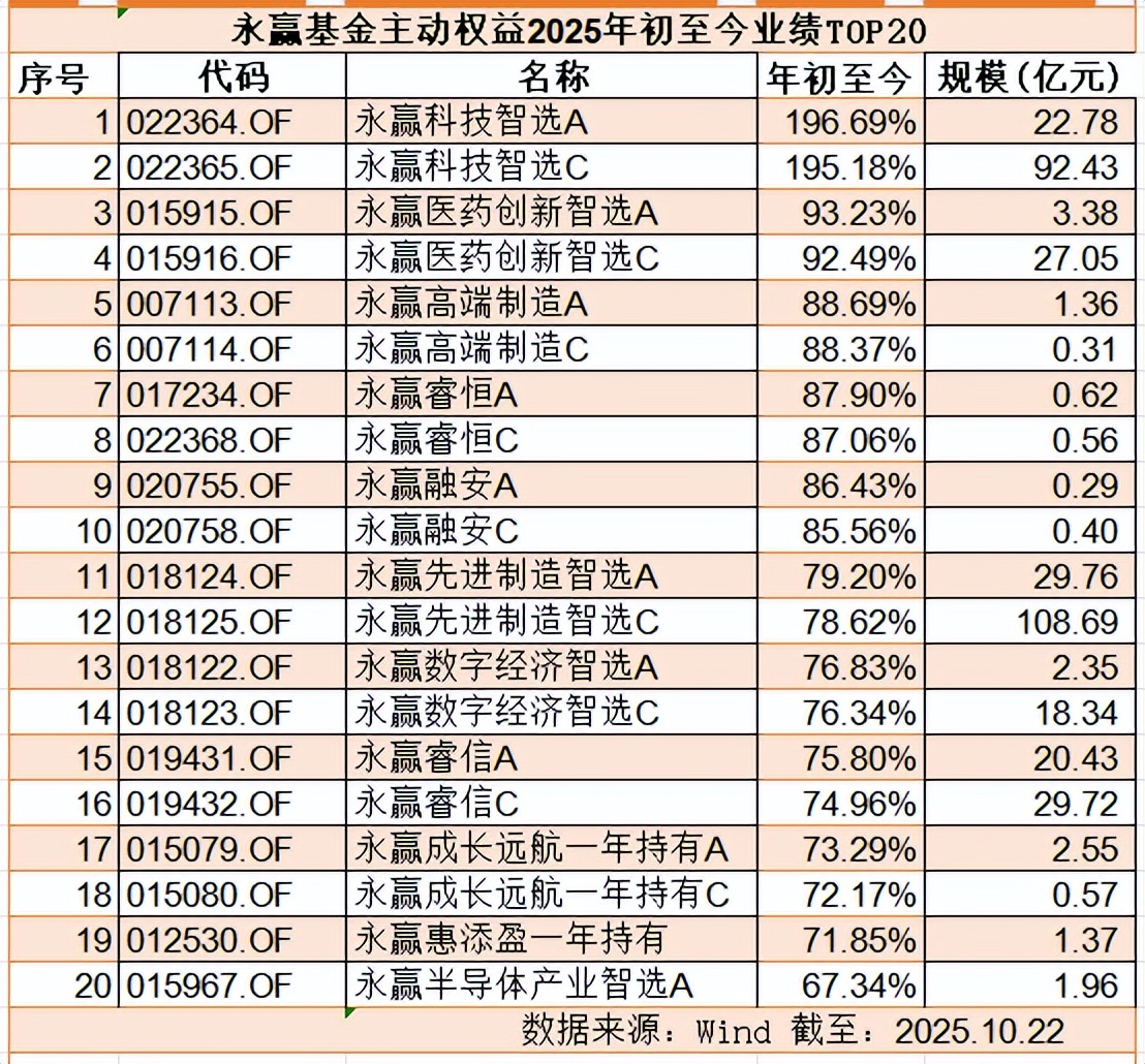 混合型发起式基金投资策略_开放式基金收益率排名_永赢科技智选A基金业绩