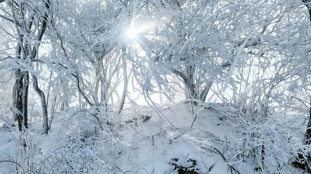 又来？这样的随州，你见没见过？