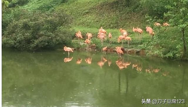 大蜀山列入合肥市文化遗产保护名录