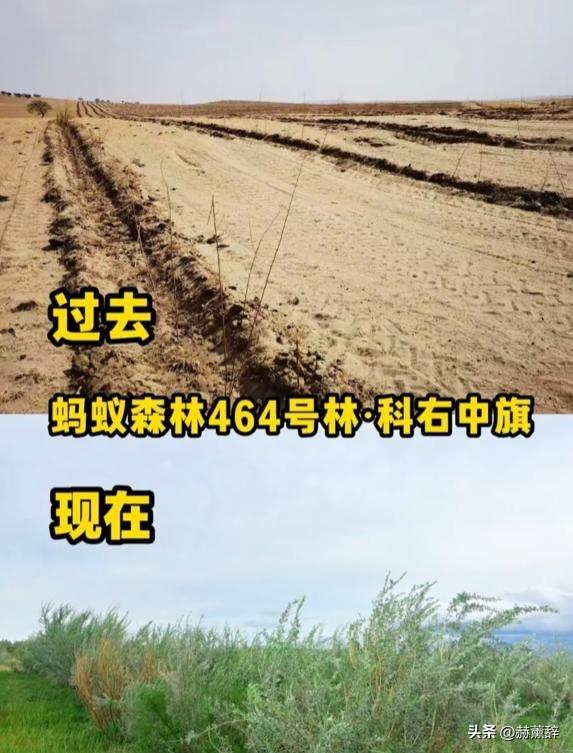 马云现身蚂蚁森林，大口吃西瓜，现场杂草丛生，跟2016年对比明显