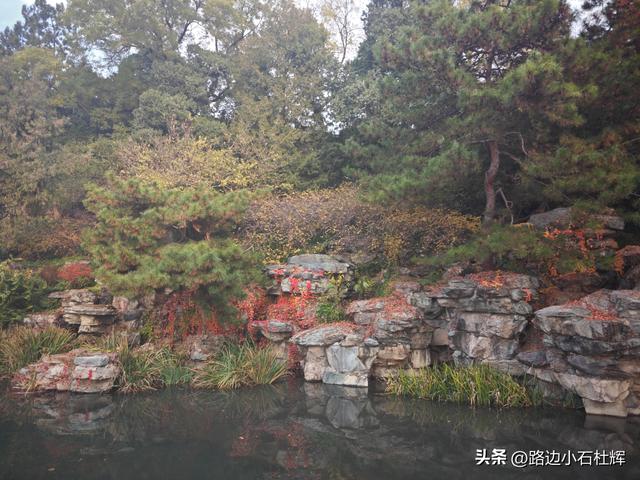 从童年嬉闹到诗意园林——一个北京土著的北海公园记忆