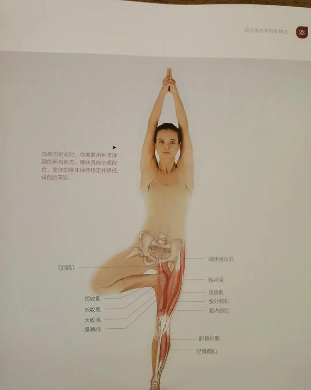 这个瑜伽体式坚持不了6秒，说明你的身体已经老了……