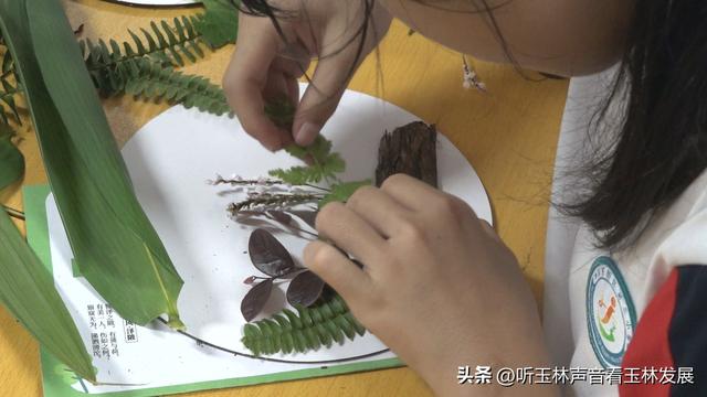 北流容心谷“探索自然之美，传诵诗韵风雅”主题研学活动广受好评