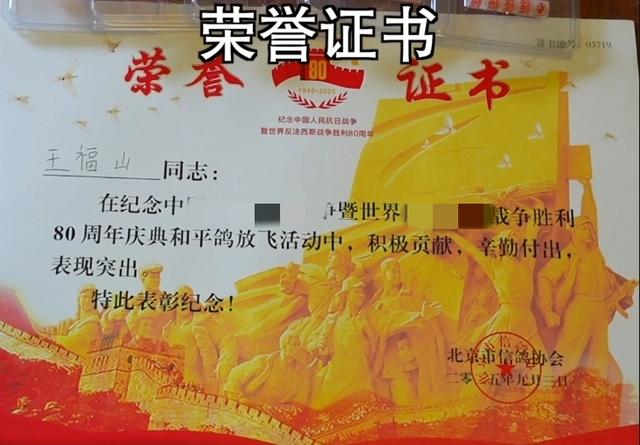 九三阅兵仪式的8万羽鸽为何都是借来的？这背后隐藏着这样的原因