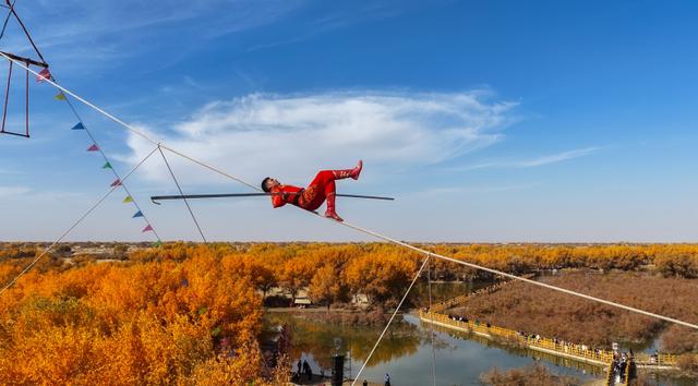 新疆洛浦：胡杨季启幕，游客醉在金林看演出