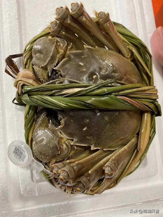 食用螃蟹的正确方法。