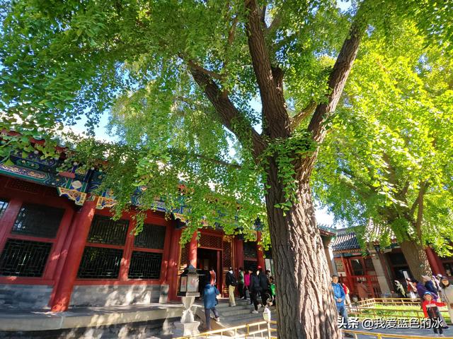 参观北京恭王府，过去一直觉得这是小景点，没想到游客居然这么多