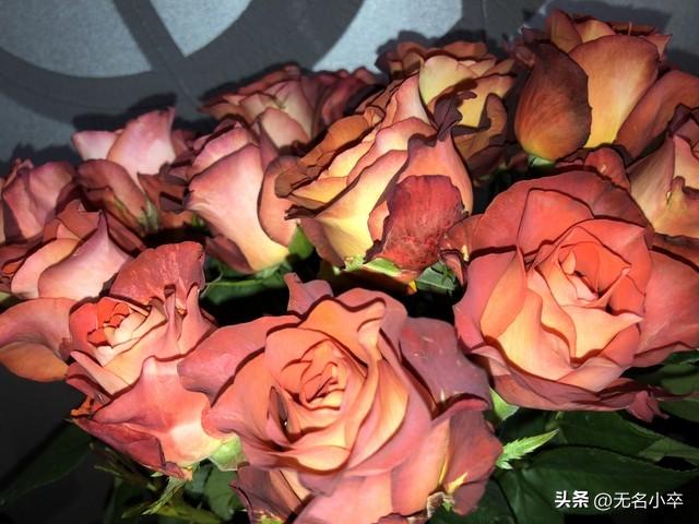 真的让人没想到，云南昆明这两个地方这么火爆还免费，游客这么多