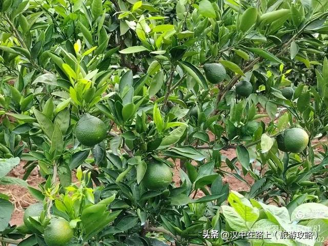 探访汉中杨候禅院，追寻抗金英雄足迹！