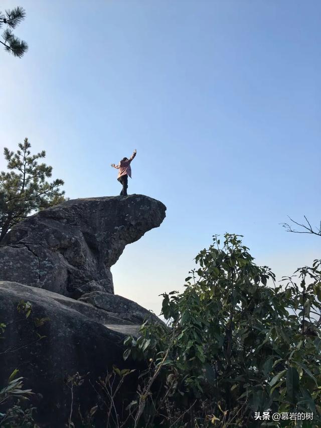 衢州老鹰石游步道，竹林里的徒步登山道