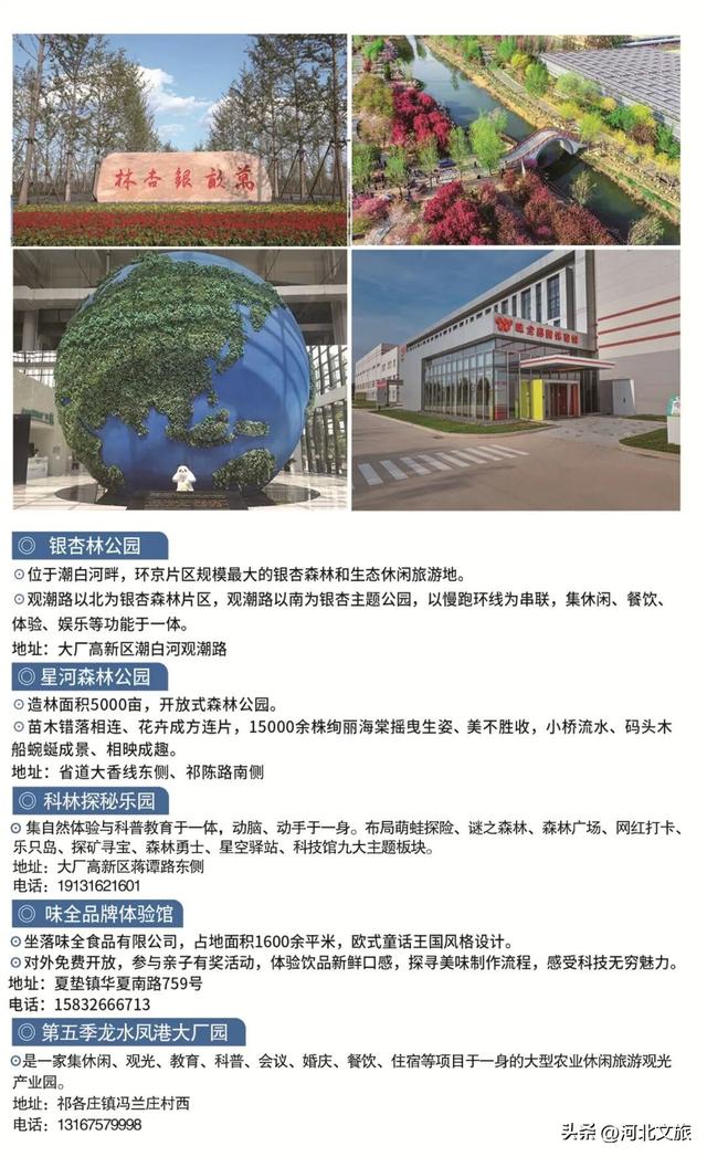 大厂这些好去处，不可错过！