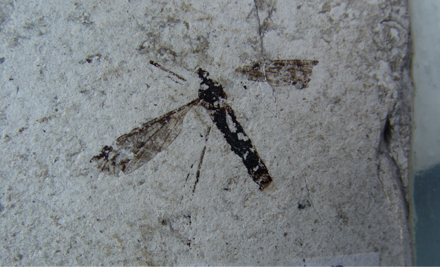 冬天来临朐怎么玩？这份一日游攻略直接抄！