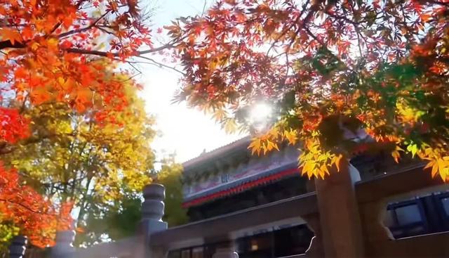 临沂初冬“热”出圈！打卡攻略赶紧码