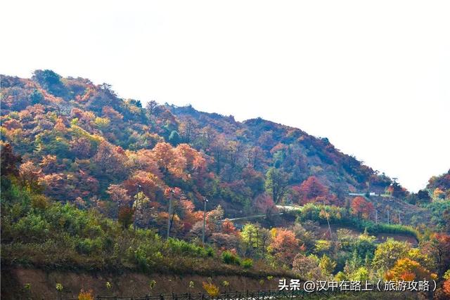 汉中秋景天花板！汉江源的红叶云海，藏不住的惊艳