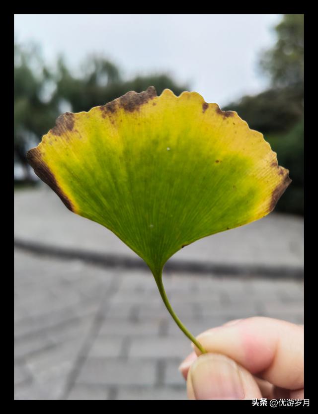 襄阳古城汉江风景很美