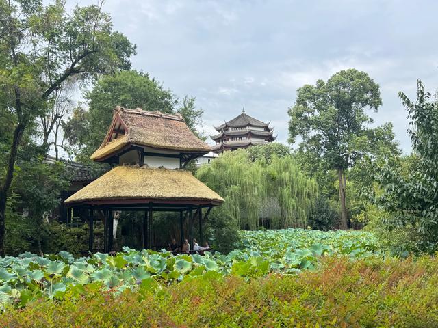 桂湖公园