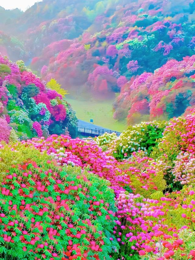 暑假来贵州毕节避暑，与 21℃的夏天，撞个满怀！