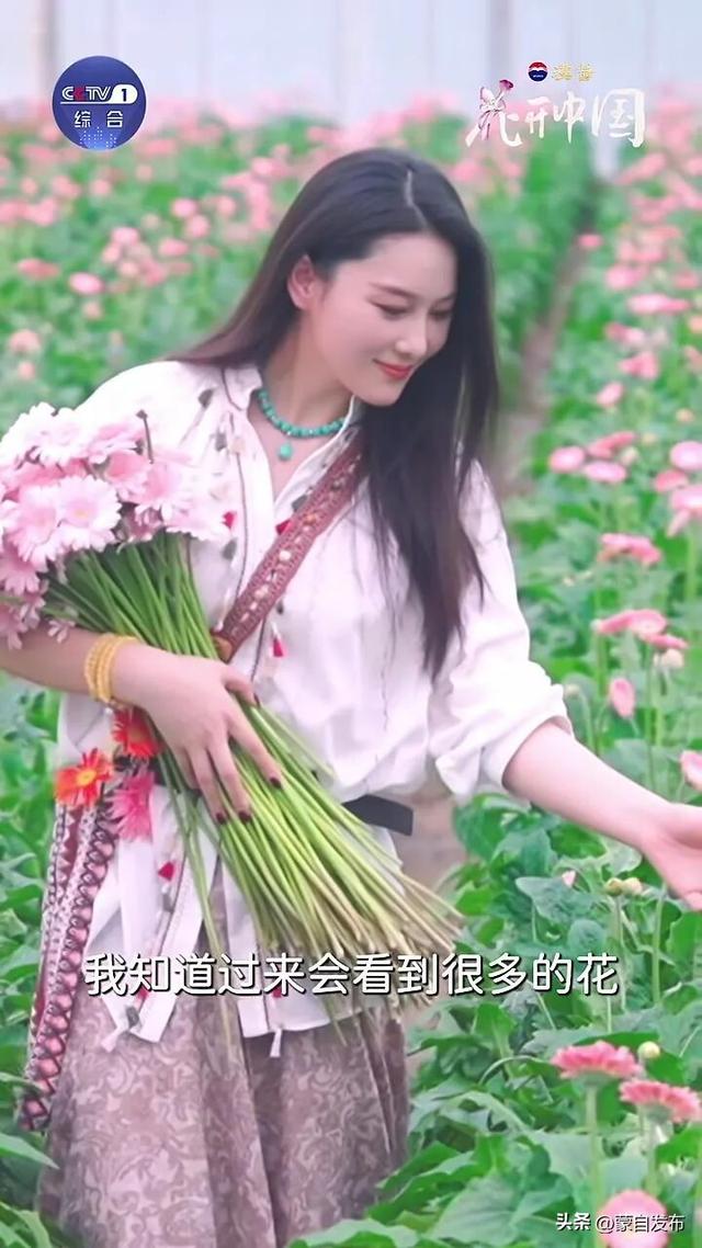 今天18:00，跟着央视一套游红河，《花开中国》同款红河打卡地攻略→