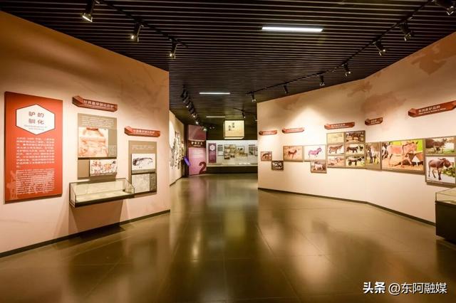 看激情鲁超 赶黄河大集 品丰收美味 赏东阿美景