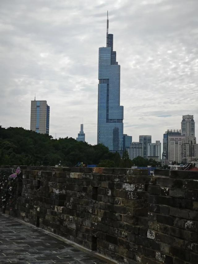 千成万城为何独爱南京？