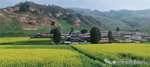 【青海在线网·散文】一个去了就不想回来的地方