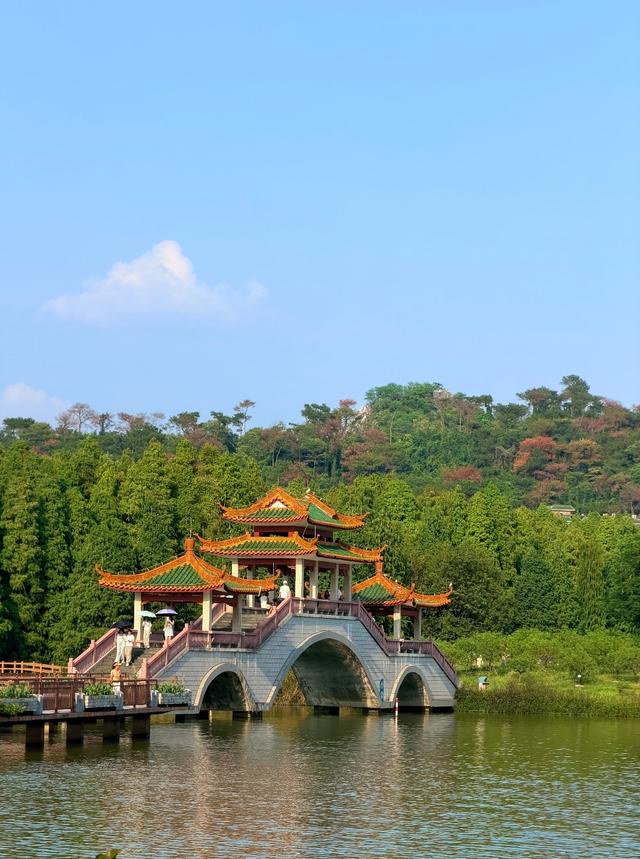 广州没想到，深圳没想到，肇庆就这么慢悠悠出圈了！