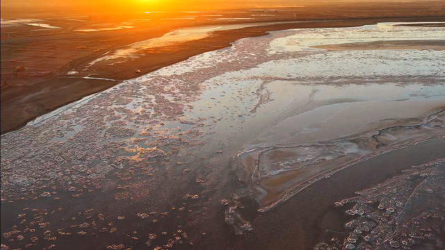 冬日奇观！落日流凌为黄河披上幻彩霓裳
