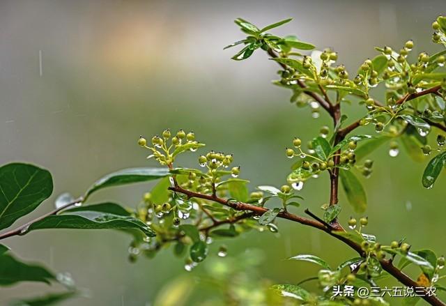 “七月怕晦日”，明日是七月晦日，有啥好怕的？看老人咋说的