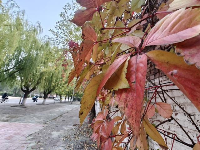 人生处处皆美好