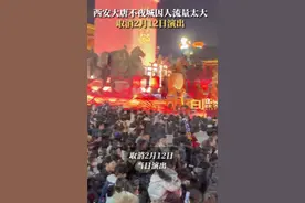 大唐不夜城因人流量大取消演出图片