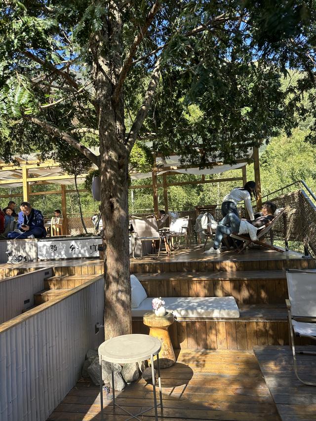 郁郁银杏无非般若，青青溪石尽是法身：宜春南惹古村印象（聂朋