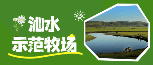 晋城出发，一天往返！带孩子去趟“阿勒泰”！