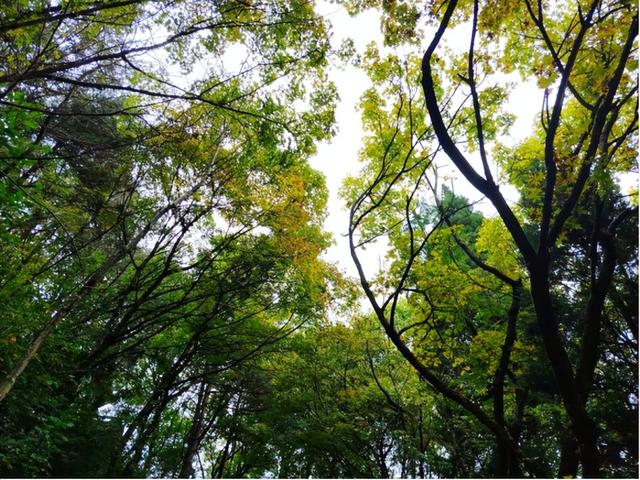 康县：秋雨、青年与白云山的邂逅