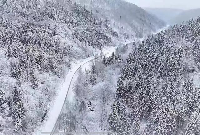 长白山冬日“天花板”！这3条宝藏路线，看到第一条就想出发