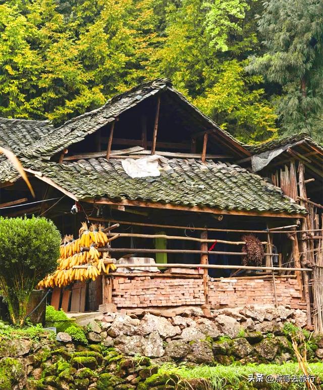 成都4大赏秋超美村庄，其中一个被称为成都小丹巴，都不要门票！