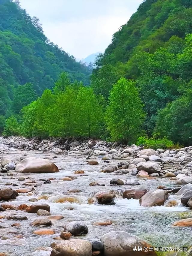 绿野仙踪+山水秘境！快来黑河抓住夏天的尾巴，奔赴一场绿意清凉之约