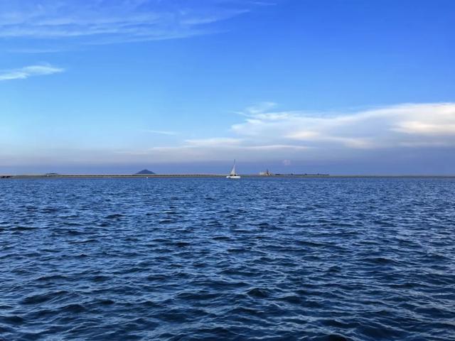 体荟四季｜冲浪、赶海、骑行...江浙沪这些 “动感海岸线”激活你的整个夏天