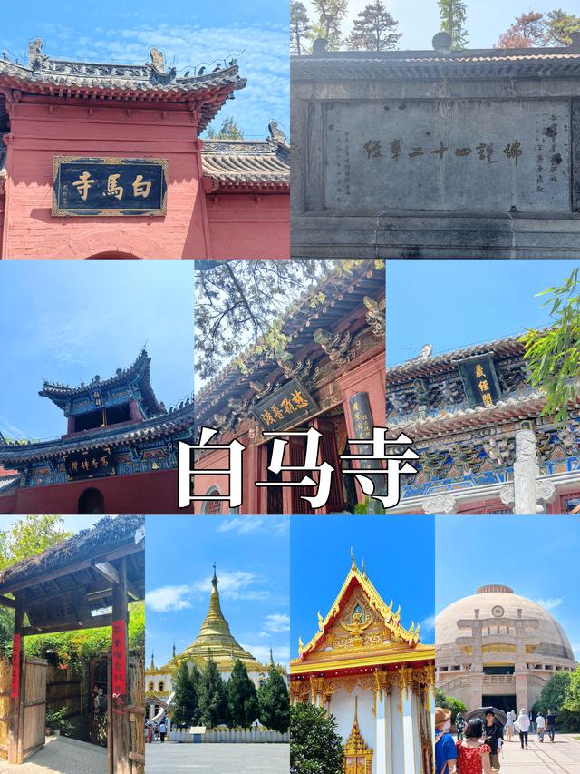 自由行，重庆-洛阳-郑州，五天四晚