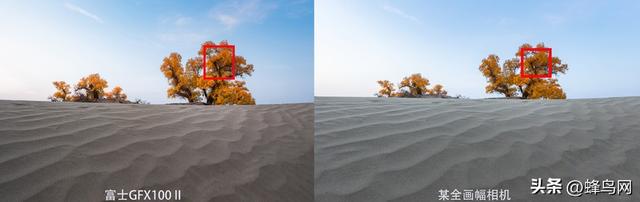 南疆寻秋--富士GFX100 II刻画南疆的雪山、沙漠与胡杨