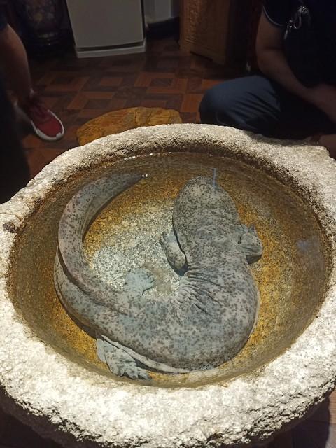 象谷迷踪（0丛林冒险）