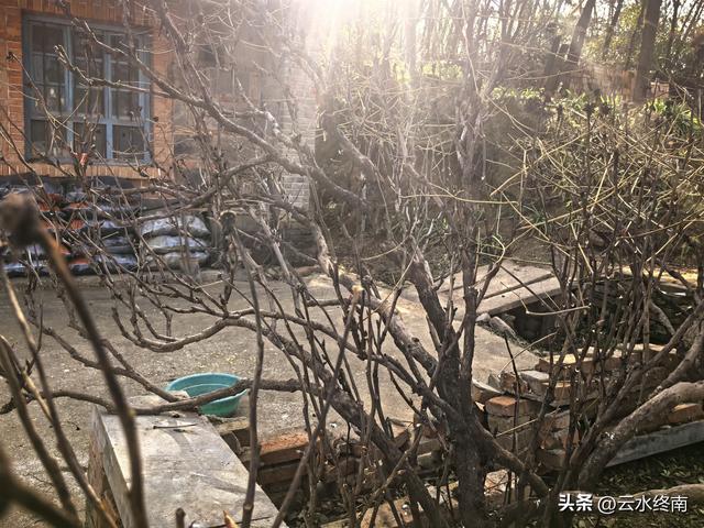 开车到蓝田这个岭上看柿子、观山景、晒暖暖，就是初冬最幸福的事