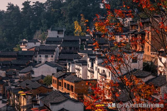 11月旅游的目的地推荐|每一个都是出片圣地的存在