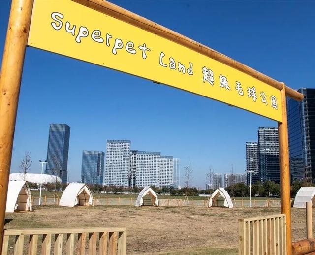 “红房子”，刷屏了！