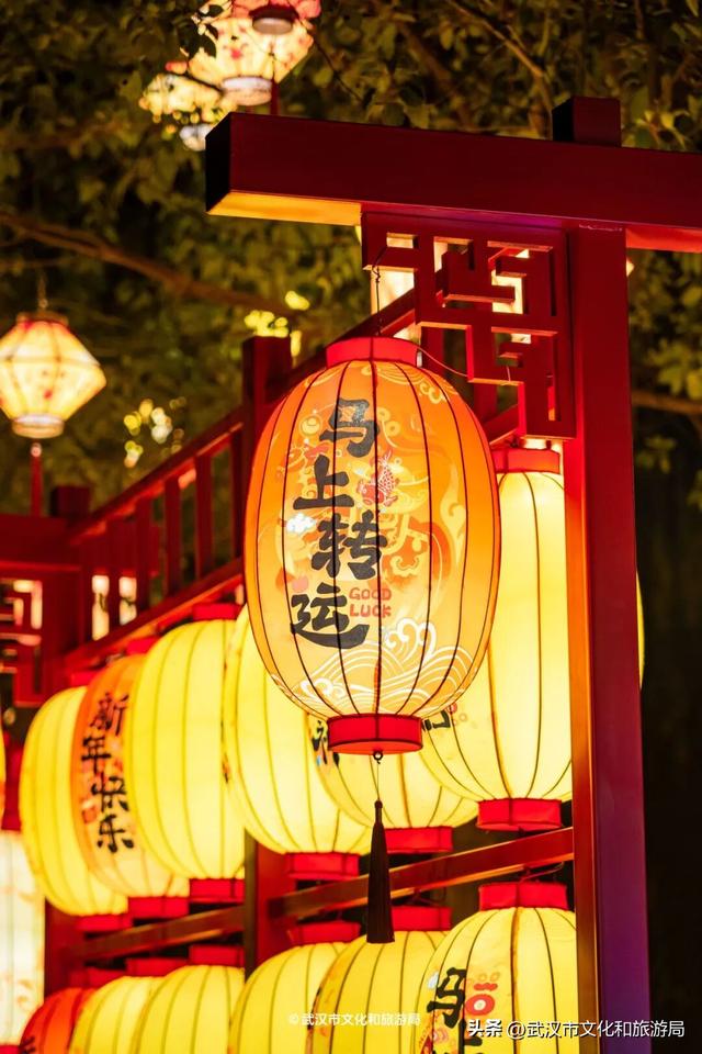 武汉最大发财树，三层楼高，明天亮！